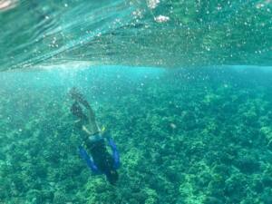 O que fazer em Maui -Mergulho no vulcão Molokini