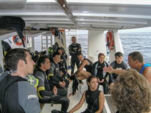 Mergulho e Snorkel em Fernando de Noronha 