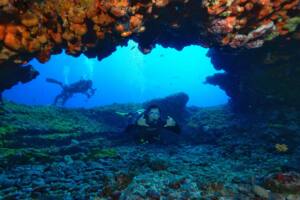 Mergulho e Snorkel em Fernando de Noronha 