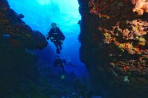 Mergulho e Snorkel em Fernando de Noronha 