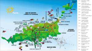 Mergulho e Snorkel em Fernando de Noronha