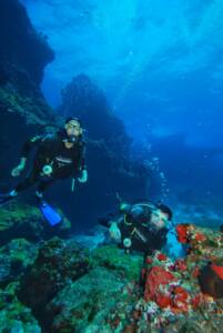 Mergulho e Snorkel em Fernando de Noronha 