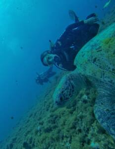 Mergulho e Snorkel em Fernando de Noronha 