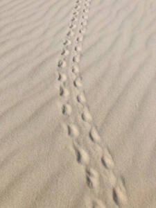 Travessia Lençóis Maranhenses 