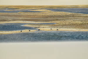 Travessia Lençóis Maranhenses 