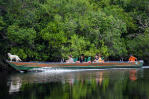 Hotel de selva na Amazônia