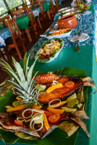 Hotel de selva na Amazônia