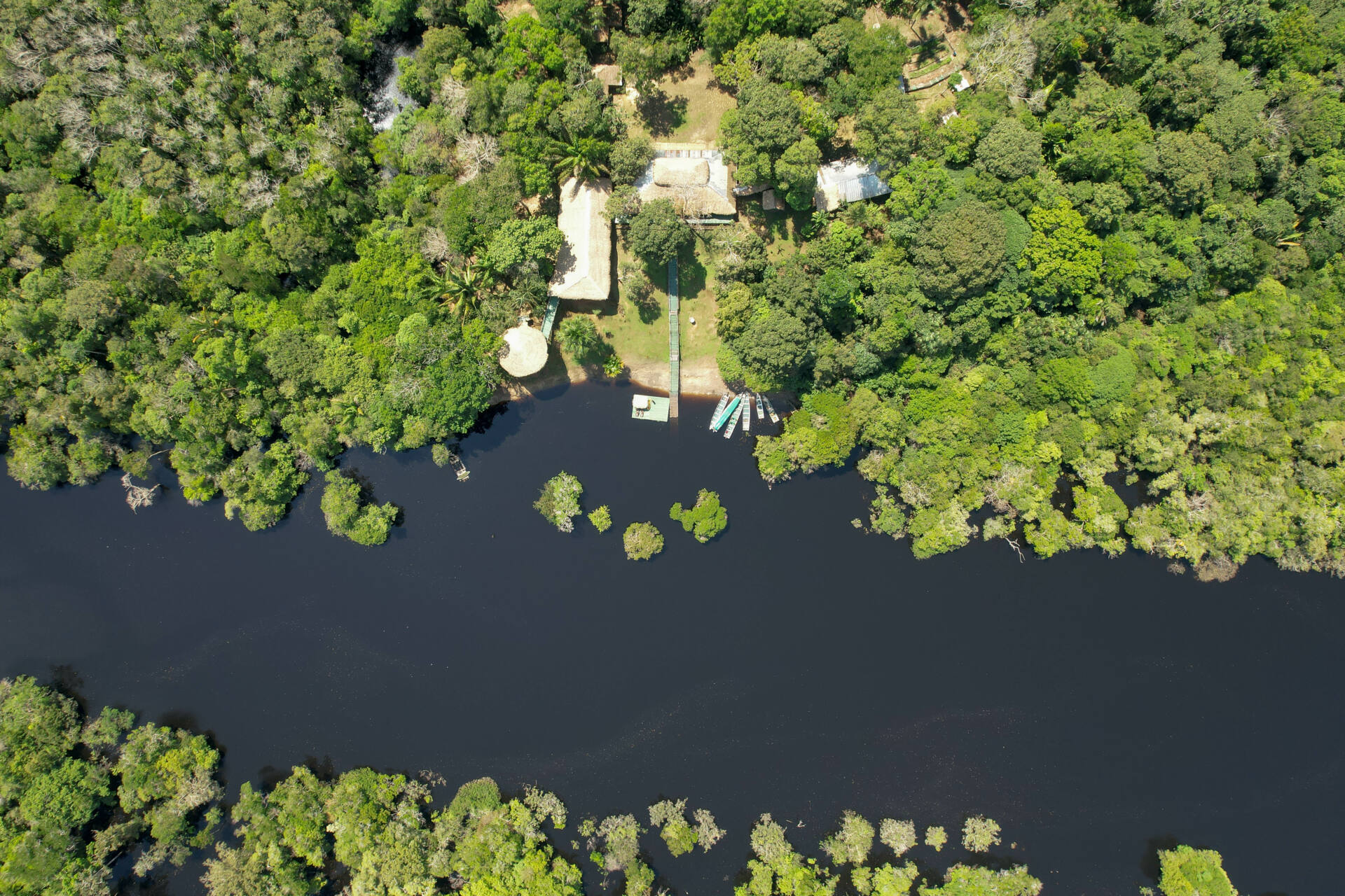 Sobrevivência na Amazônia