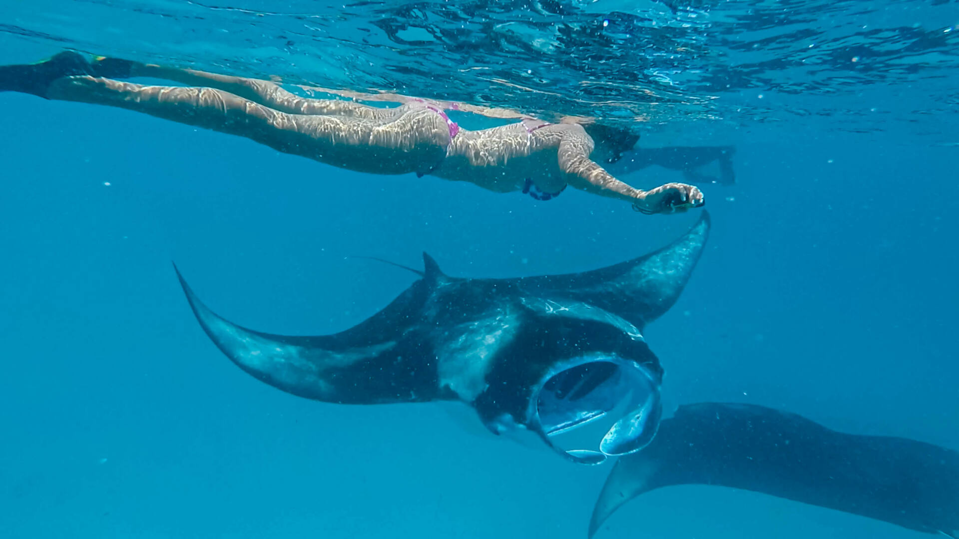 Hanibaru Bay - Baia de Hanifaru - Arraias Manta - Maldivas - Baa Atoll 