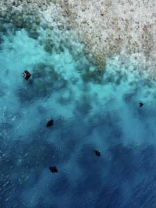 Baia de Hanifaru - Baa Atoll - arraias manta