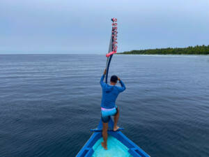 Dhigurah - Ilhas Maldivas - tubarão baleia