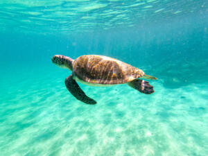 Ilha Grande - Ilhas Paradisiacas