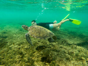 snorkel e mergulho de cilindro em Fernando de Noronha